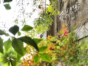 thumbnail: General view
