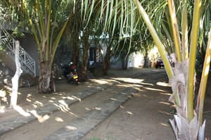 thumbnail: Garden
