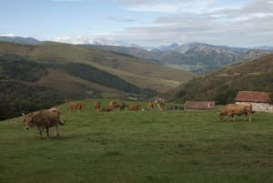 thumbnail: Mountain view
