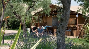 thumbnail: Terrace/patio