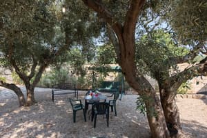 thumbnail: Garden view