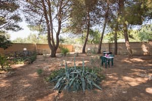 thumbnail: Garden