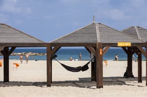 thumbnail: Beach