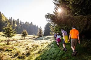 thumbnail: Hiking