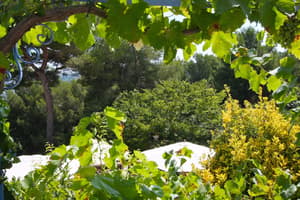 thumbnail: Garden
