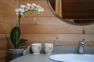 thumbnail: Bathroom sink