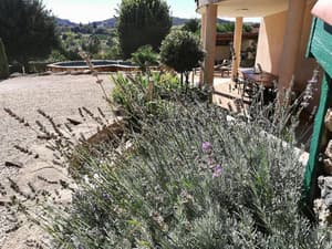 thumbnail: General view