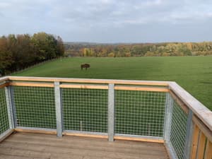 thumbnail: Game viewing