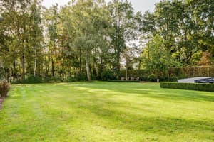 thumbnail: Garden