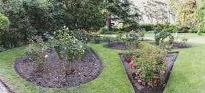 thumbnail: Garden