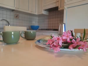 thumbnail: Interior