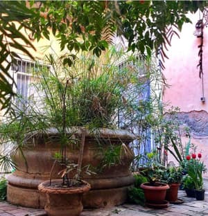 thumbnail: General view