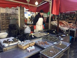 thumbnail: General view