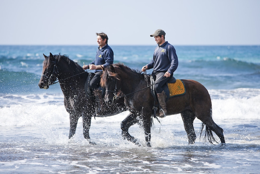 Horseback riding
