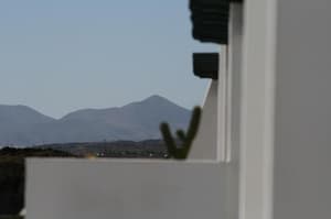 thumbnail: 21809663.jpg