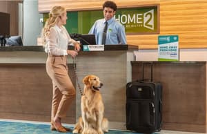 thumbnail: Pet-friendly