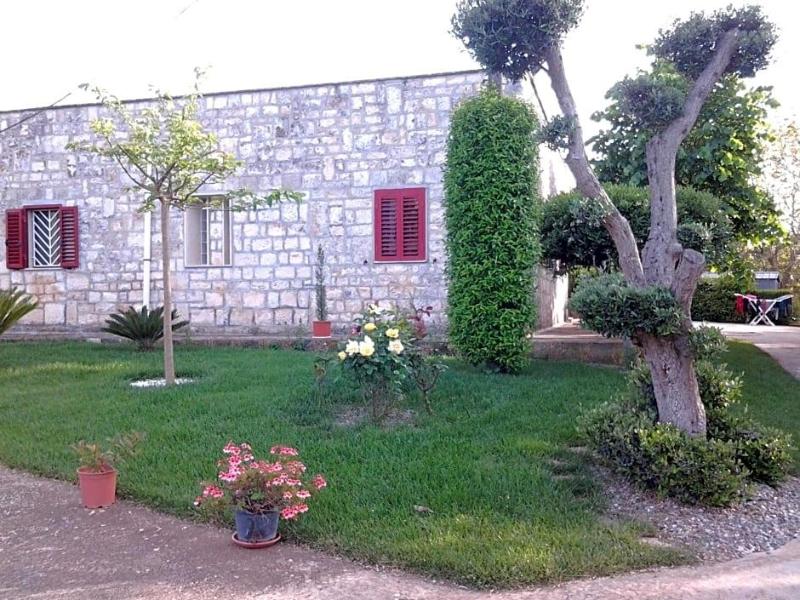 General view