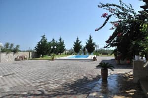 thumbnail: 25958003.jpg