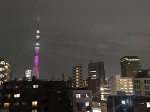 thumbnail: General view