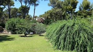 thumbnail: Garden