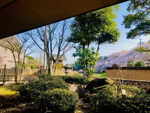 thumbnail: Garden view