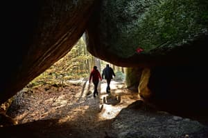 thumbnail: Hiking