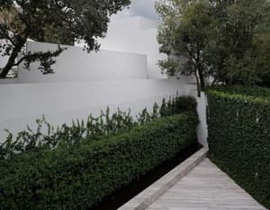 thumbnail: Exterior