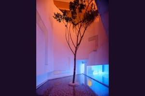 thumbnail: Interior detail