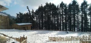 thumbnail: Property grounds