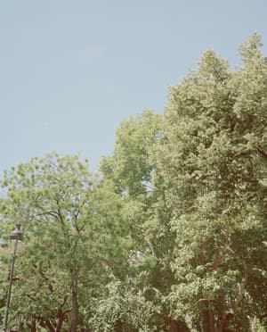 thumbnail: Property grounds