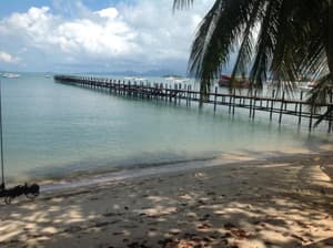 thumbnail: General view