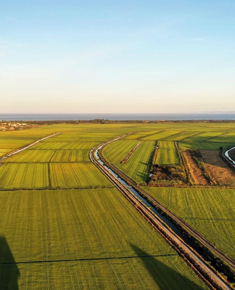 Land view from property