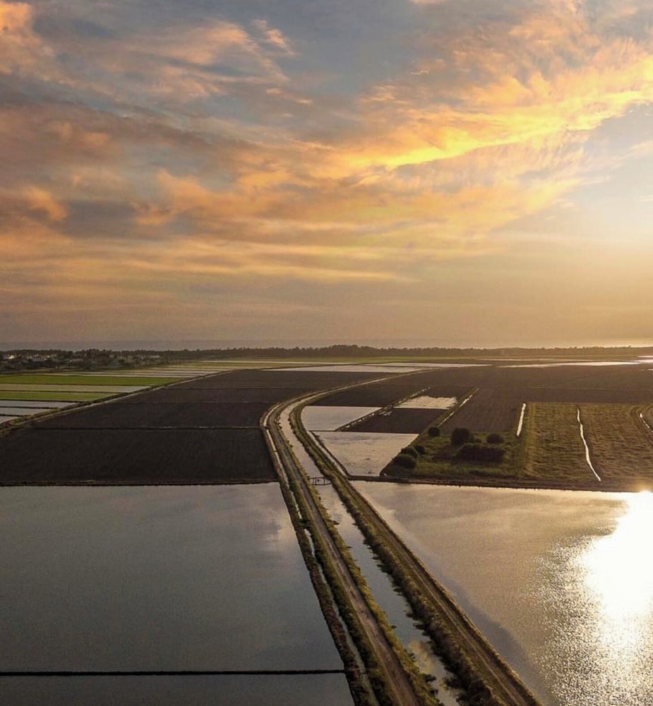 Land view from property