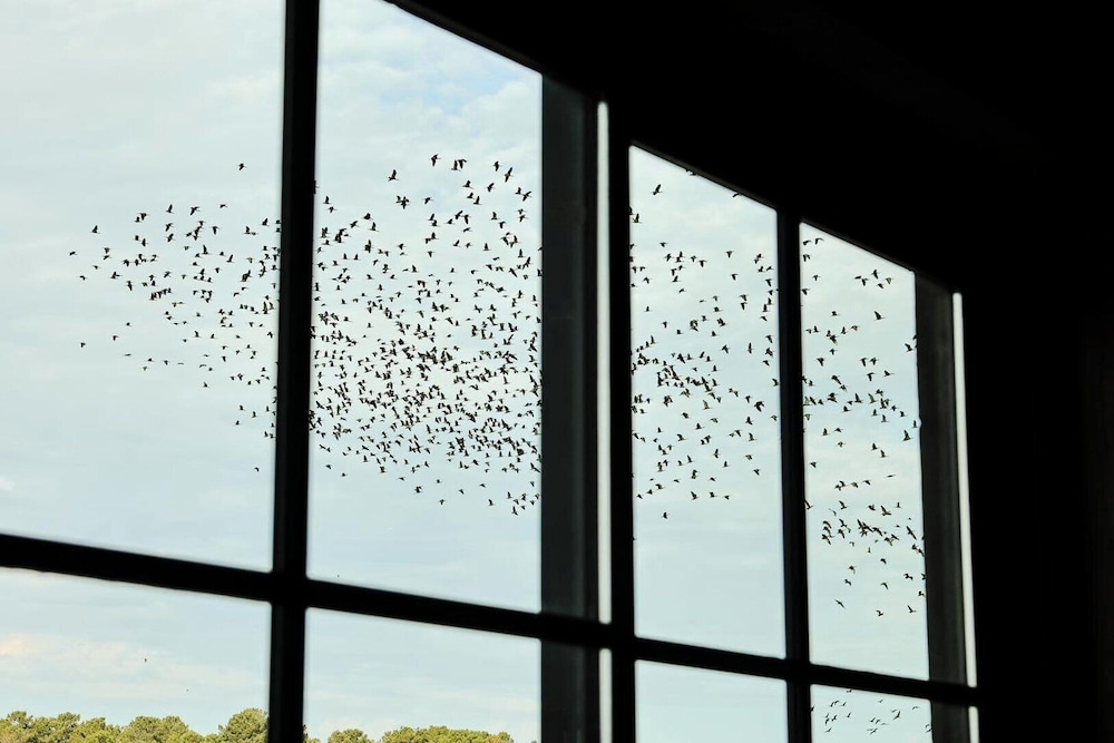 Land view from property