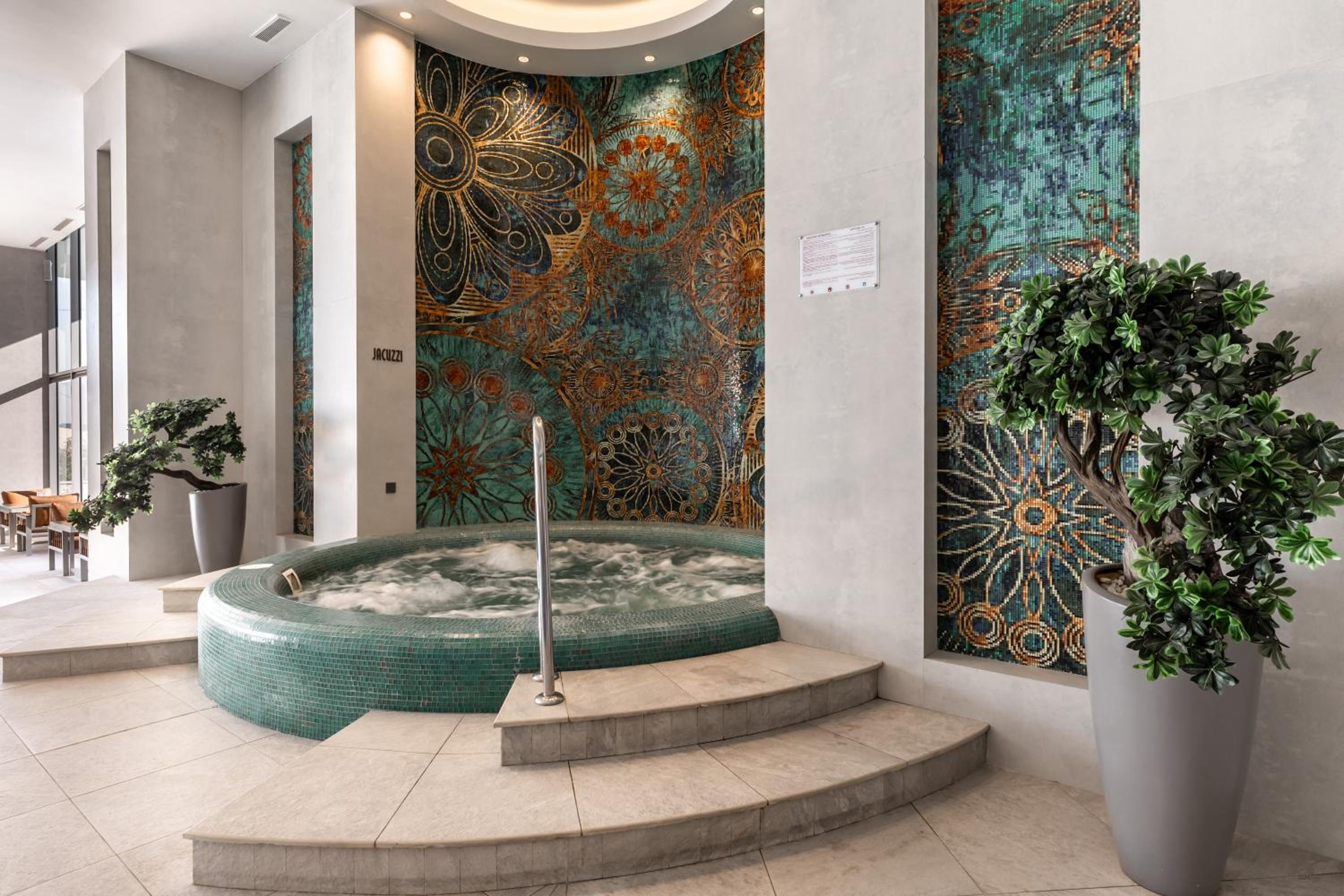 Swimming pool-spa