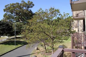 thumbnail: General view