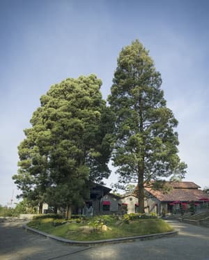 thumbnail: Exterior