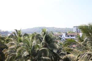thumbnail: Aerial view
