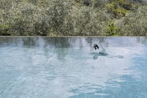 thumbnail: Natural pool