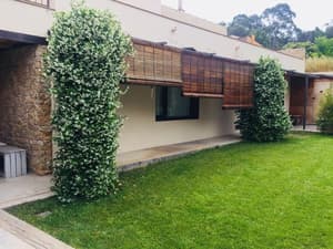 thumbnail: Garden view