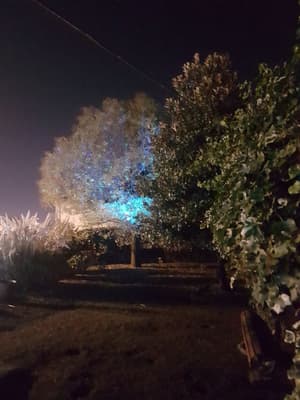 thumbnail: Garden