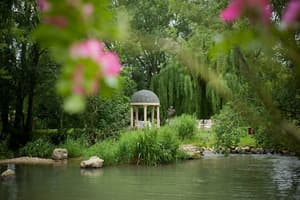 thumbnail: Outdoor wedding area