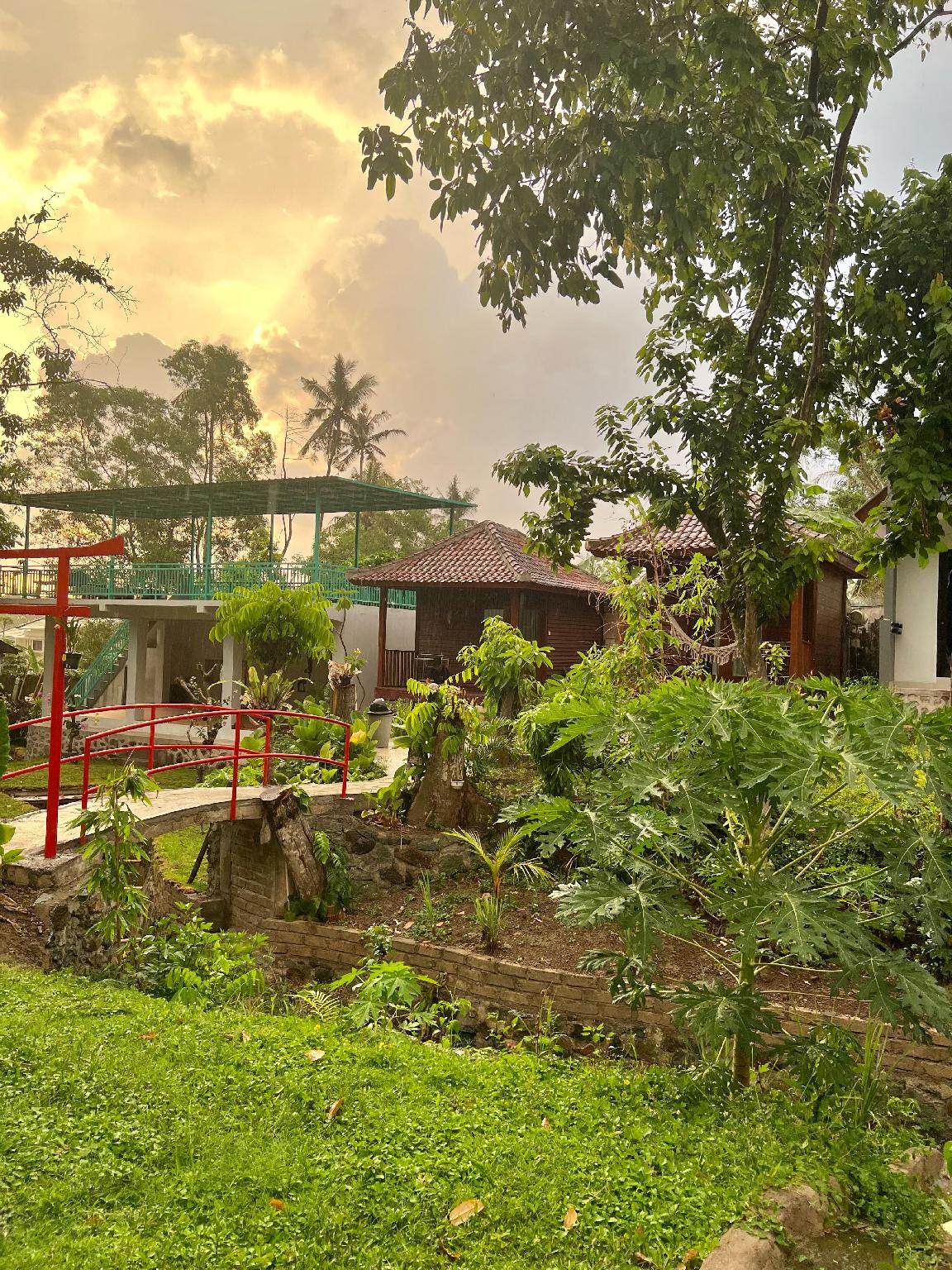 Play area