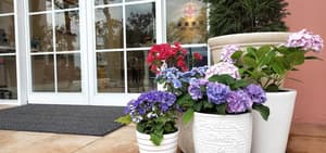 thumbnail: Interior entrance