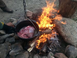 thumbnail: Dining