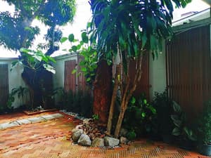 thumbnail: General view