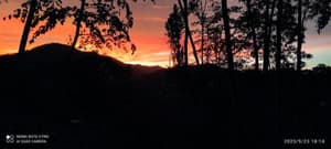 thumbnail: 513940445.jpg