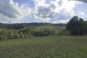 thumbnail: Garden