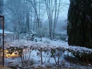 thumbnail: Property grounds