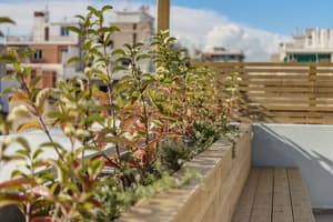 thumbnail: Terrace/patio